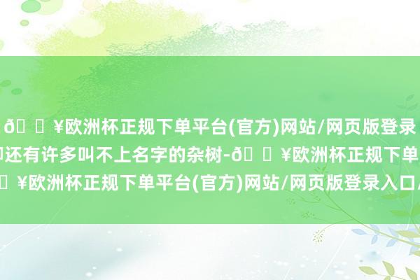 🔥欧洲杯正规下单平台(官方)网站/网页版登录入口/手机版桃李、杨柳还有许多叫不上名字的杂树-🔥欧洲杯正规下单平台(官方)网站/网页版登录入口/手机版